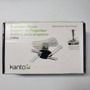 Projector mount