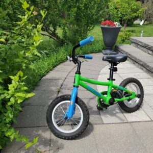 Raleigh Vibe Kids' Bike, 12-in Wheel, Green, with training wheels